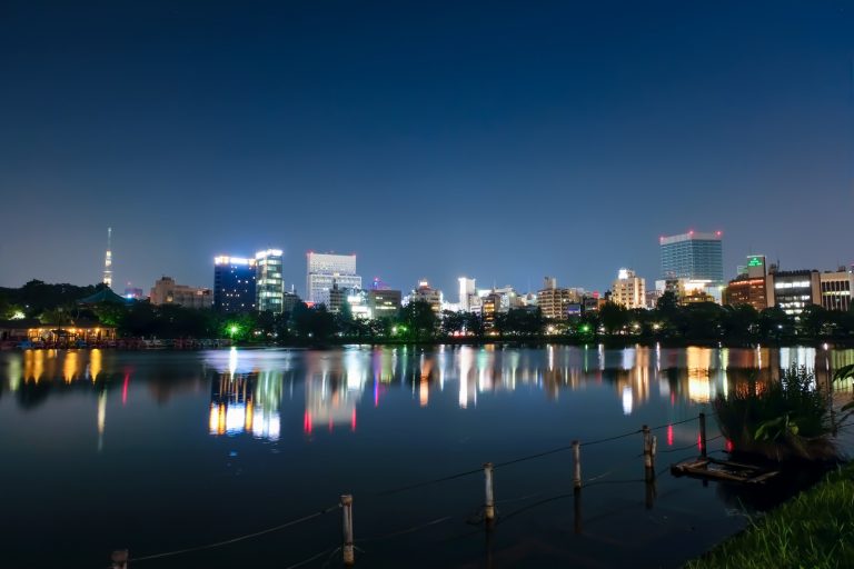 上野 不忍池 夜景